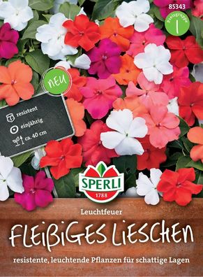 Sperli Fleissiges Lieschen Leuchtfeuer - Blumensamen