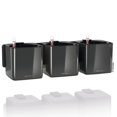 LECHUZA® Pflanzgefäße CUBE Glossy Green Wall Home Kit Anthrazit hochglänzend EAN: 240