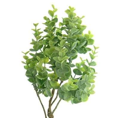 DEKO® Florale Eukalyptus-Zweig Grün kreisrunde Blätter 53 cm - Kunstpflanzen