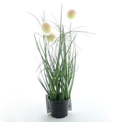 Kaemingk Samtgras im schwarzen Topf 30 cm - Kunstpflanzen