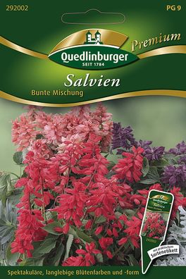 Quedlinburger Salvien Bunte Mischung - Blumensamen