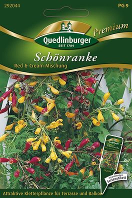 Quedlinburger Schönranke Red & Cream Mischung - Blumensamen