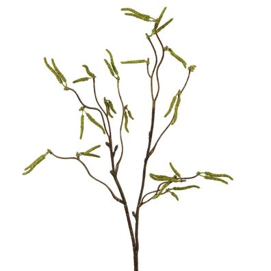 GASPER Birkenzweig, grün, 53 cm - Kunstpflanze