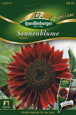 Quedlinburger Sonnenblume Claret - Blumensamen