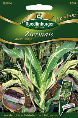 Quedlinburger Ziermais Stars'n stripes - Blumensamen
