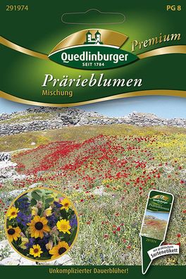 Quedlinburger Prärieblumen Mischung - Blumensamen