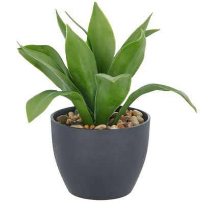 GASPER Sansevieria Moonshine - Bogenhanf im Kunststofftopf mit Kies 20 cm, grün, 11 x