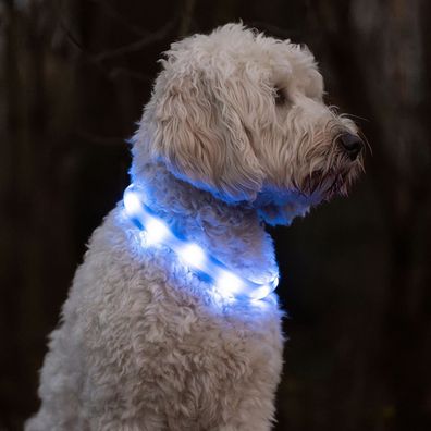 Nobby® LED Leuchtband Visible blau M 25 mm; 55 cm