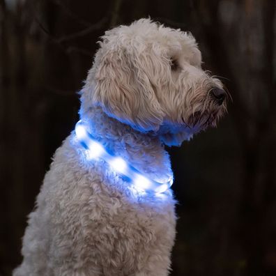 Nobby® LED Leuchtband Visible blau L 25 mm; 70 cm