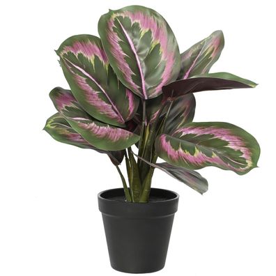 Everlands Korbmarante Grün/Rosa im schwarzen Topf Ø 26 cm 35 cm - Kunstpflanzen