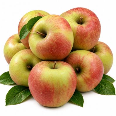 Bleichhof Äpfel Braeburn - süß-herb (5kg)