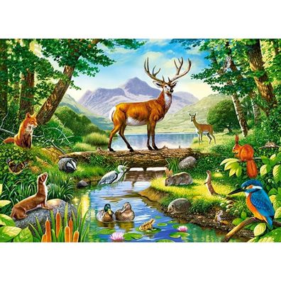 Castorland Puzzle Harmonie des Waldes 300 Teile
