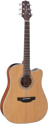 Takamine GD20CE NS Natur Satin
