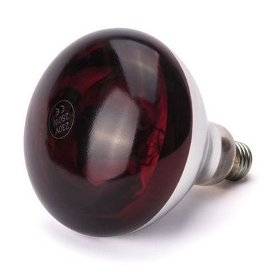 Infrarotlampe für Speisenwärmer E27 250W rot
