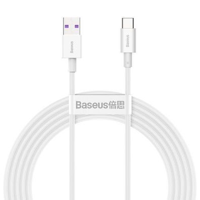 Hochwertiger USB-Stick - USB-C 66 W 6 A 2 m Kabel - Weiß