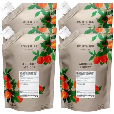 Ponthier Aprikose Fruchtpüree 4x 1kg Premium Aprikosenpüree 90 % Bergeron Frankreich