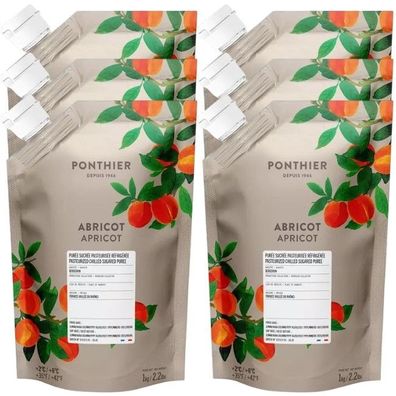 Ponthier Aprikose Fruchtpüree 6x 1kg Premium Aprikosenpüree 90 % Bergeron Frankreich