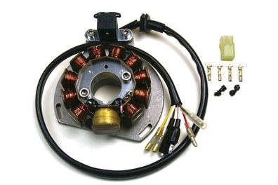 Lichtmaschine Generator 2 Takter KTM 125EXC 200EXC 300EXC GAS GAS ME250034005 5033900