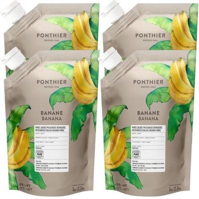 Ponthier Banane Fruchtpüree 4x 1kg Premium Bananenpüree 90 % Banane Costa Rica