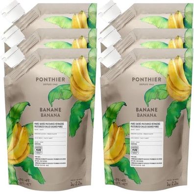 Ponthier Banane Fruchtpüree 6x 1kg Premium Bananenpüree 90 % Banane Costa Rica