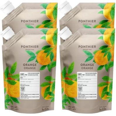 Ponthier Orange Fruchtpüree 4x 1kg Premium Orangenpüree 100 % Valencia aus Sizilien