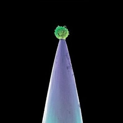 Peter Gabriel: New Blood - EMI 6785522 - (CD / N)