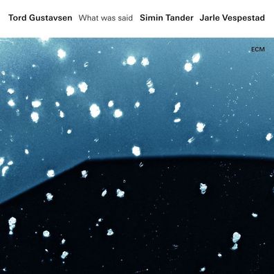 Tord Gustavsen, Simin Tander & Jarle Vespestad: What Was Said