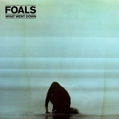 Foals: What Went Down - Warner Music 2564607503 - (LP / W)