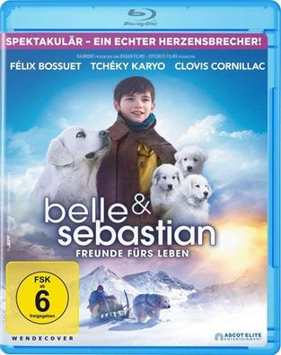 Belle & Sebastian (BR) Freunde f. Leben Min: 92/DD5.1/WS - Asco