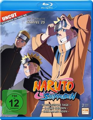 Naruto Shippuden - Staffel 25 (BR) 2Disc Nostalgische Tage, Ep