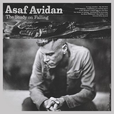 Asaf Avidan: The Study On Falling - Polydor - (CD / T)