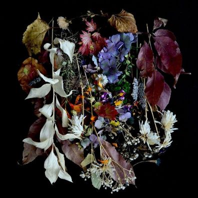 Paws: Your Church On My Bonfire (Pink Vinyl) - jpc-Schallplatten-Versandhandelsgesell