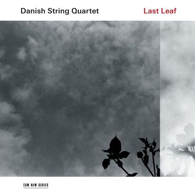 Danish String Quartet - Last Leaf (180g) - ECM - (LP / D)
