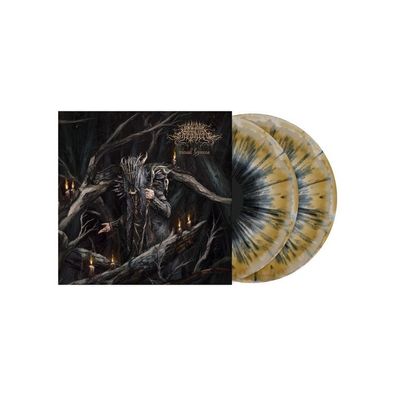 Worm Shepherd: Ritual Hymns - - (LP / R)