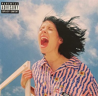 K. Flay: K. Flay - Inside Voices / Outside Voices - - (LP / I)