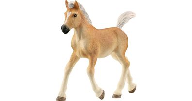 Horse Club Haflinger Fohlen