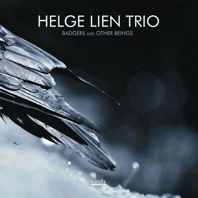 Helge Lien: Badgers And Other Beings (180g) (Limited Edition)