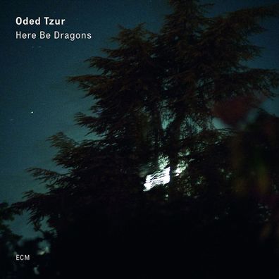Oded Tzur: Here Be Dragons - jpc Schallplatten - (LP / H)