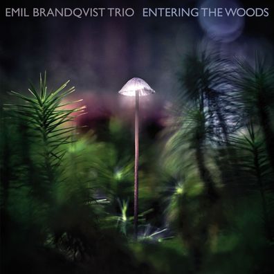 Emil Brandqvist: Entering The Woods (180g) - jpc Schallplatten