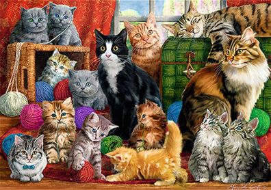 Katzenzimmer