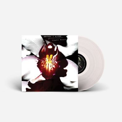 Chrystabell & David Lynch: Chrystabell & David Lynch: Cellopha