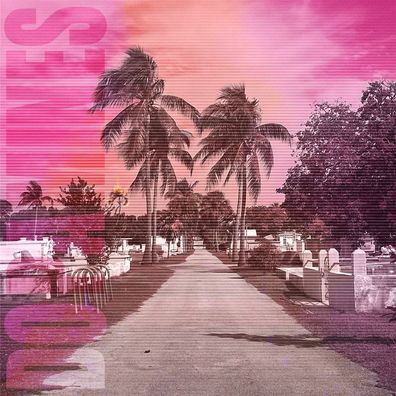 80/20 - 375 Media - (LP / #)