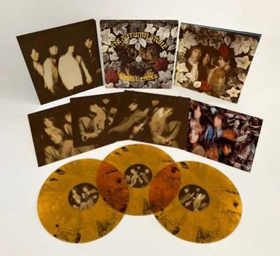 Small Faces: Small Faces: The Autumn Stone (180g) (Autumn Ston