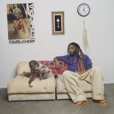 Aminé: 13 Months Of Sunshine (Purple Vinyl) - 375 Media - (LP / #)