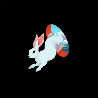 Ganser: Animal Hospital (future Blue Vinyl) - 375 Media - (LP