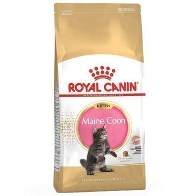 FBN Kitten Maine Coon 4 kg