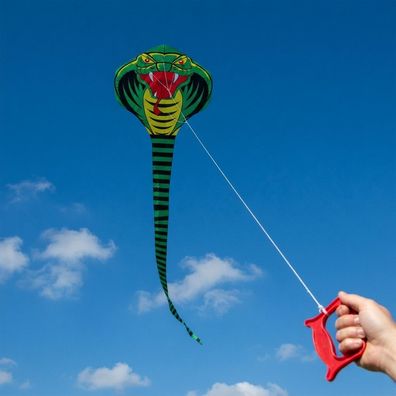 Königs-Cobra - Drache