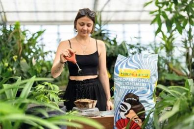 Floragard Light Mix Anzuchterde 3 x 20 L (60 L) - Aussaaterde, Kräutererde