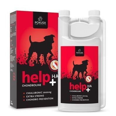 Chondro Line HELP HA Versuchungsflasche 1000ml