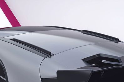 CSR Dachfinnen mit ABE für Mercedes-Benz A-Klasse W176 Schrägheck DF061